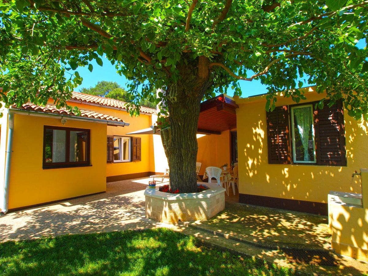 Villa House 1037 Fažana Exterior foto